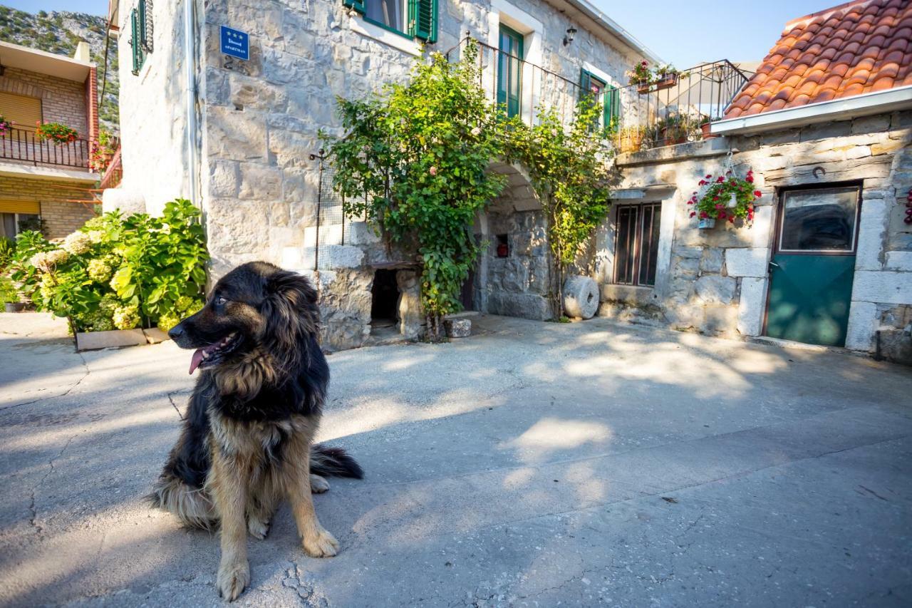 Apartmani Rebac Gata Exteriér fotografie